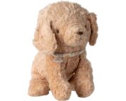 Puppy small dusty powder