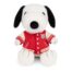Snoopy in Varsity